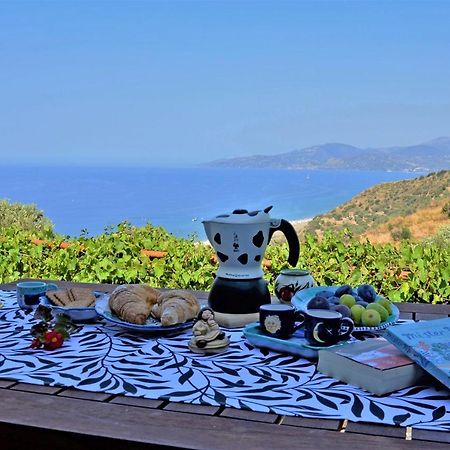 فيلا Terrazza Degli Angeli أسشيا المظهر الخارجي الصورة